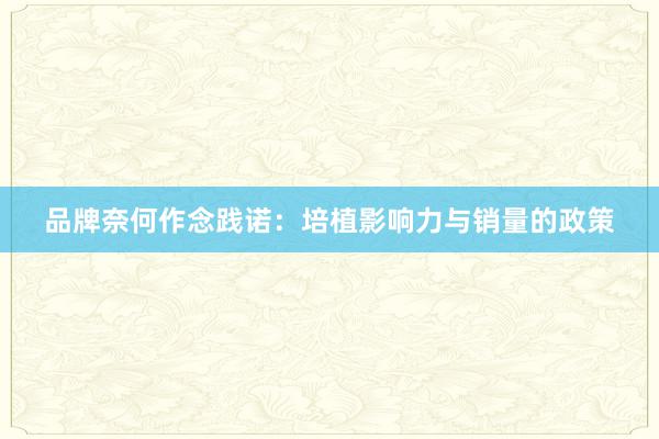 品牌奈何作念践诺：培植影响力与销量的政策