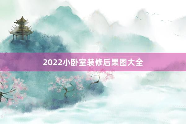 2022小卧室装修后果图大全